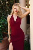 Tyra Cowl Neck Halter Maxi Dress
