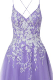 Aline Short Glitter Tulle Homecoming Dress with Appliques