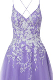 Aline Short Glitter Tulle Homecoming Dress with Appliques