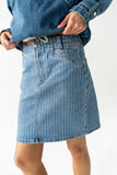 Parker Striped Denim Knee Length Skirt