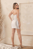 Ryder Mini Dress Silver Satin FINAL SALE