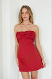 Sarah Bow and Pleat Mini Dress