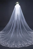 Vintage Long Tulle With Appliques Wedding Veil