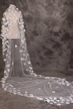 Cute Lace Flower Appliques One Tier Cut Edge Wedding Veil