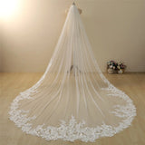 Vintage Lace Trim Transparent Wedding Veil Bridal Veil