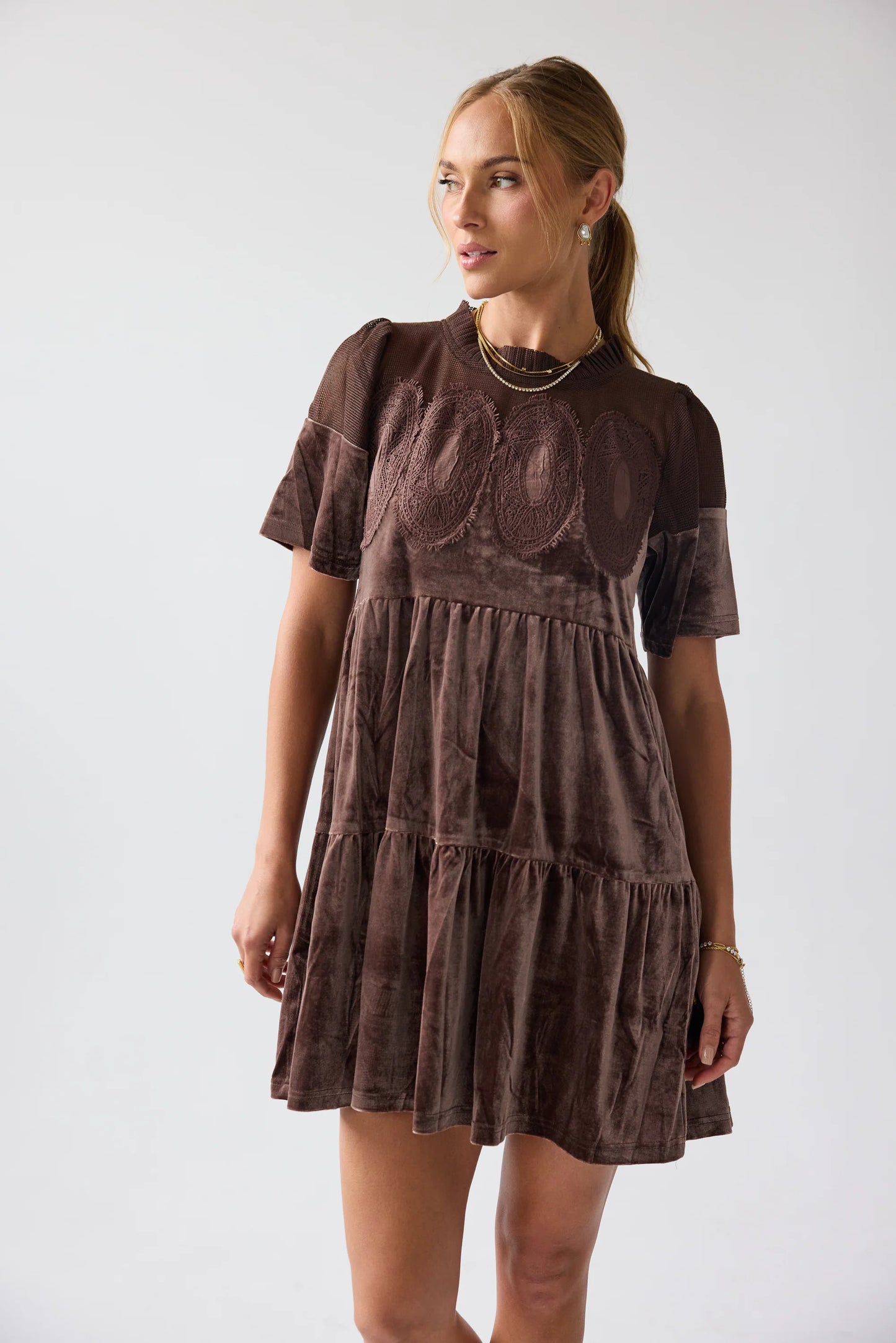Banks Velvet Mini Dress in Brown FINAL SALE