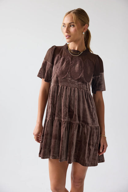 Banks Velvet Mini Dress in Brown FINAL SALE