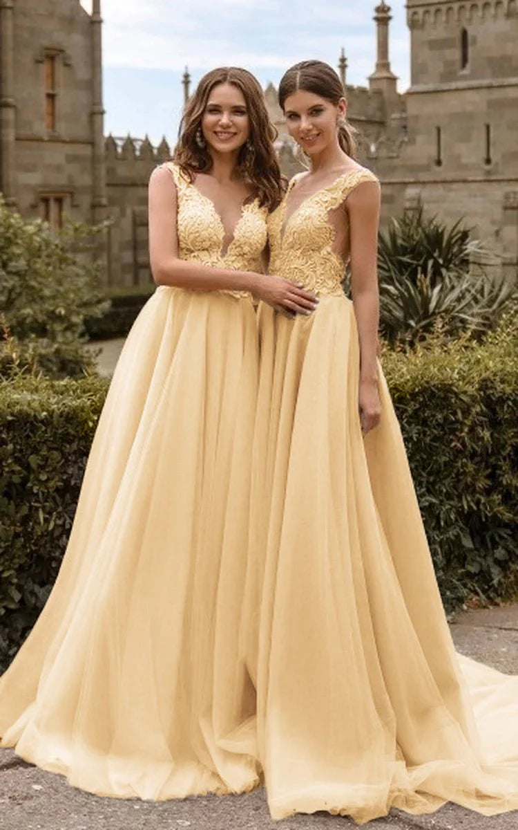 Lace V Neck Bridesmaid Dresses Sexy Illusion Back Tulle Dresses