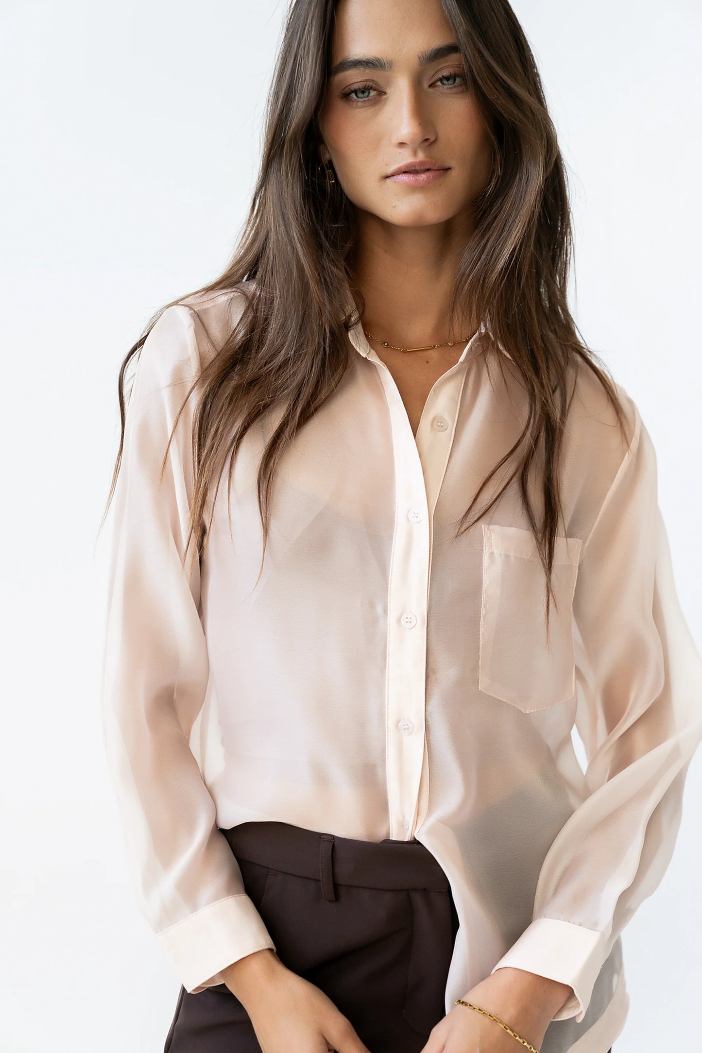 Liberty Sheer Button Up Blouse in Blush FINAL SALE