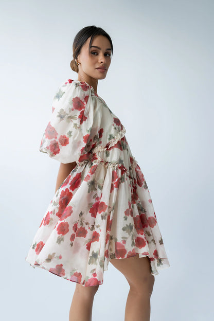Tamlyn Floral Mini Dress in Red