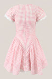 Pink Gingham Cotton A Line Mini Dress