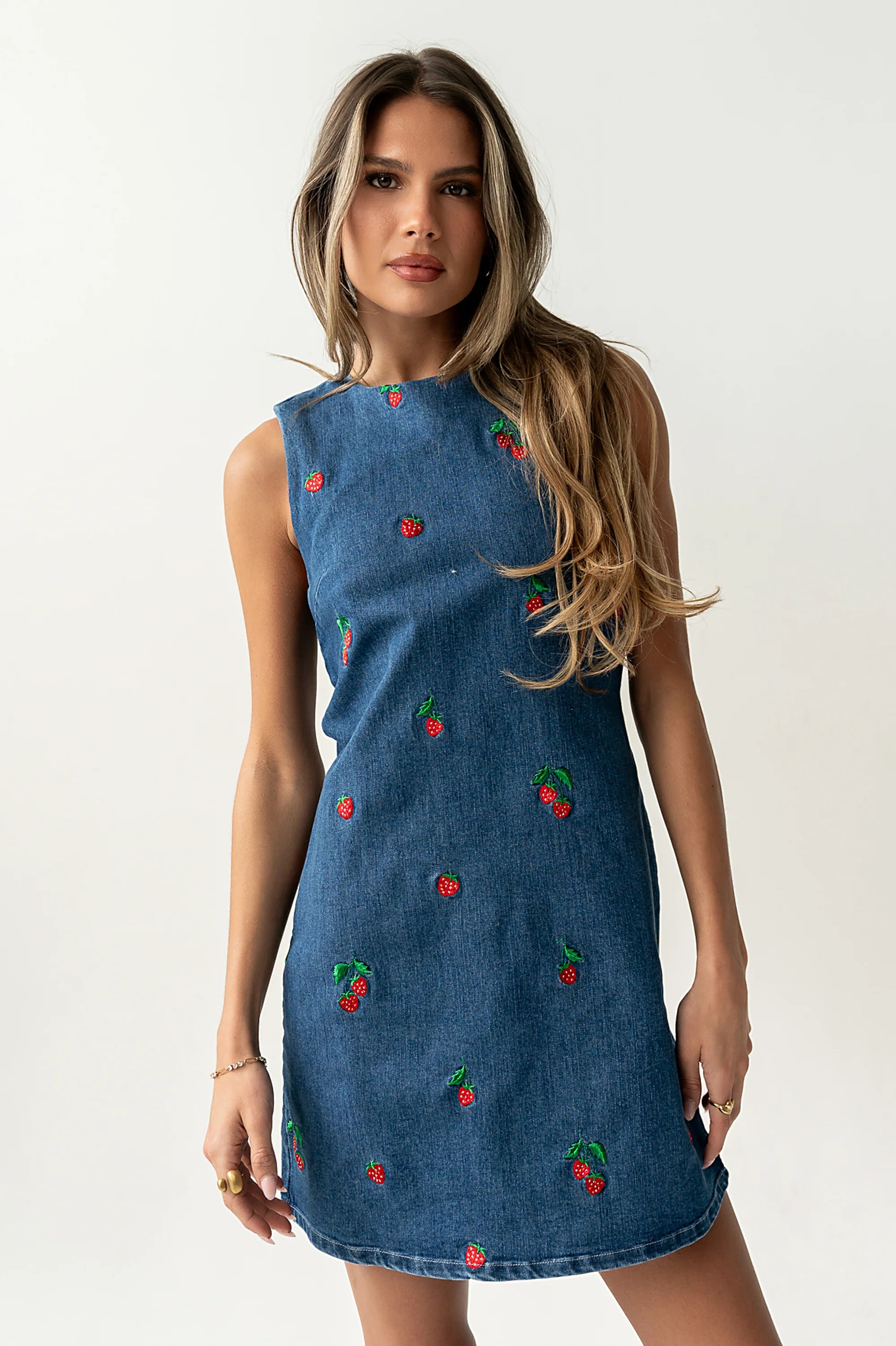 Kesley Embroidered Mini Dress