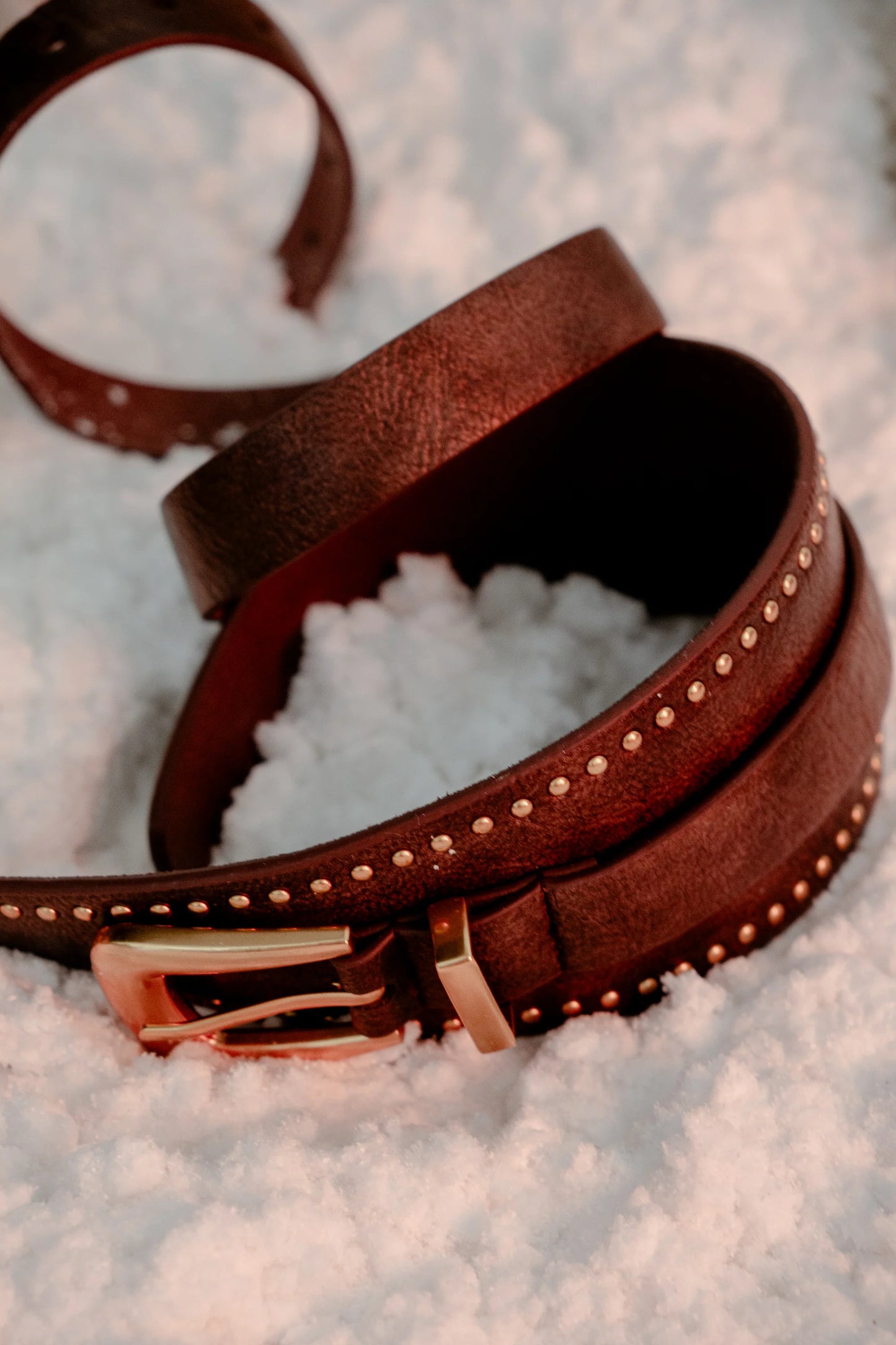 Jaylen Leather Sash Belt in Brown