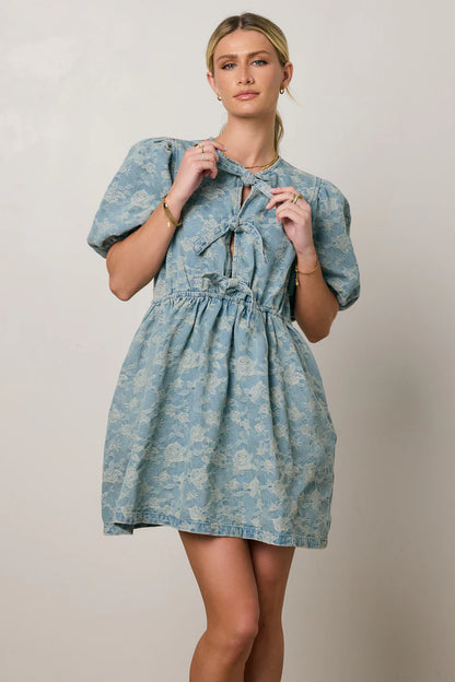 Pony Denim Mini Dress FINAL SALE