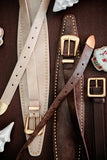 Jaylen Leather Sash Belt in Brown