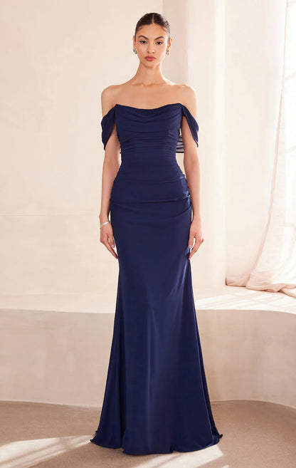 Faye Gown Chiffon Off the Shoulder Fitted Dress