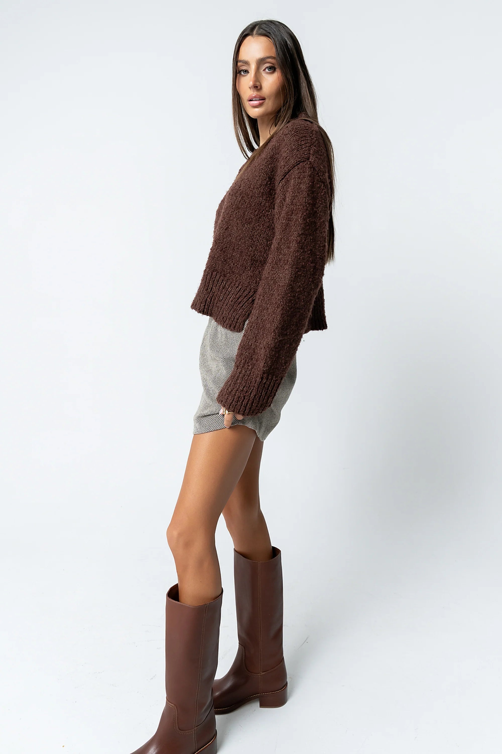Junie Fuzzy Sweater in Brown