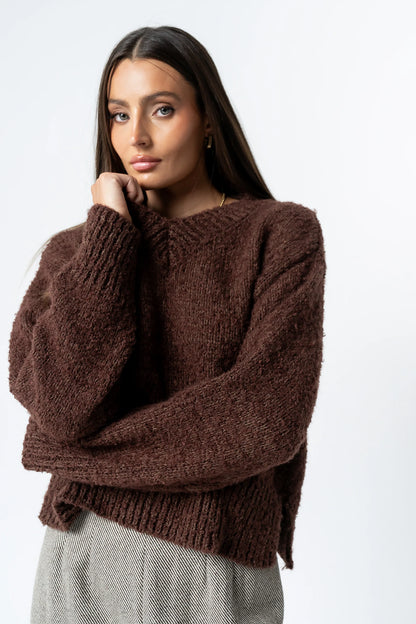 Junie Fuzzy Sweater in Brown