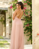 Sydney Maxi Dress Blush Tulle Dress