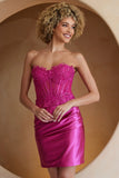 Aurora Mini Dress Pink
