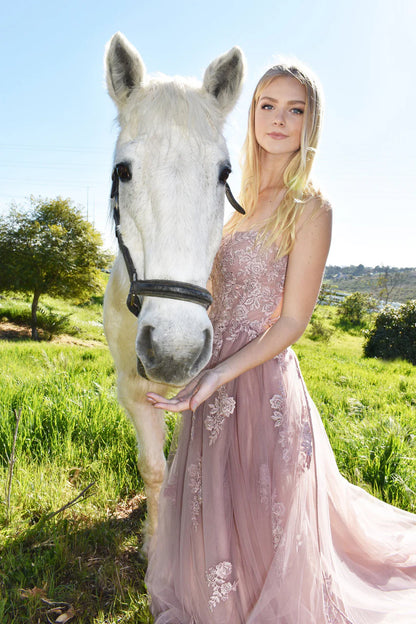 Alisha Gown Mauve Tulle A line Dress With Open Back