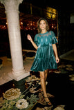 Banks Velvet Mini Dress in Teal FINAL SALE