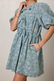 Pony Denim Mini Dress FINAL SALE