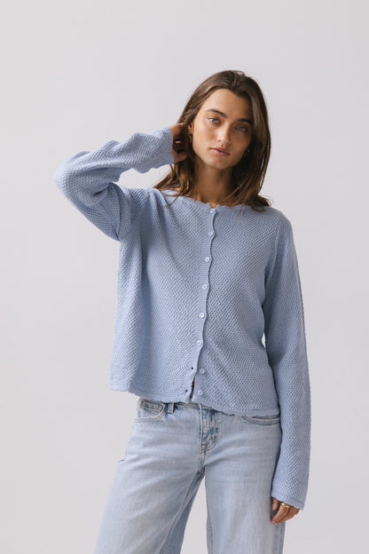 Azuline Knit Cardigan in Powder Blue